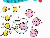 做试管婴儿必须知道的事宜有哪些