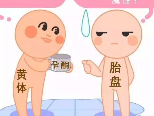 广州市一人民医院试管婴儿费用详解，让你明明白白花钱